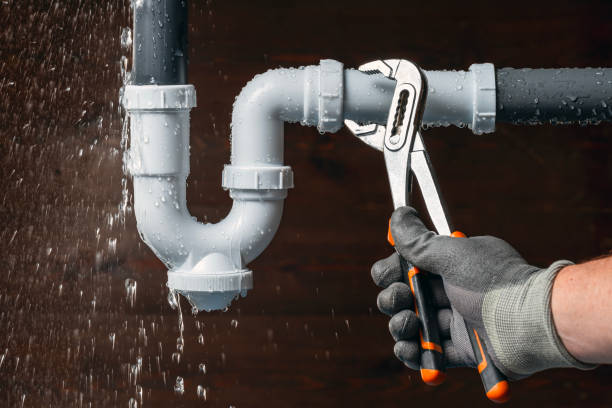 Professional Plumbing technician working in Rockwood, MI